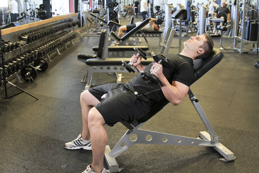 Incline Hammer Curls - ending position