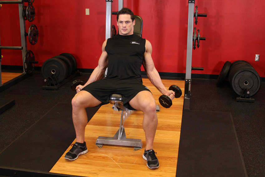 Incline Inner Biceps Curl - starting position