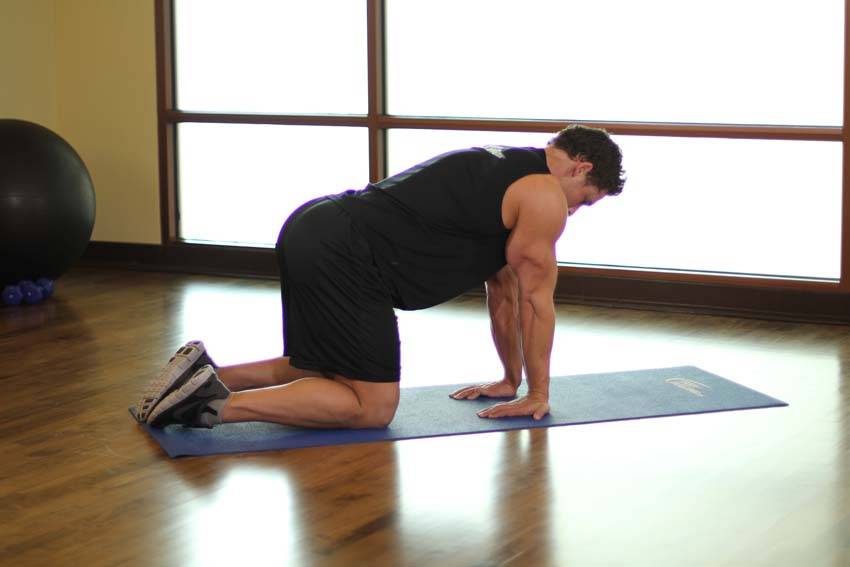 Kneeling Forearm Stretch - starting position