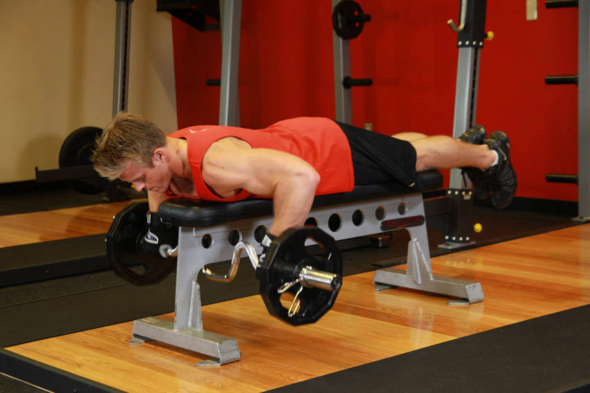 Lying Cambered Barbell Row - ending position