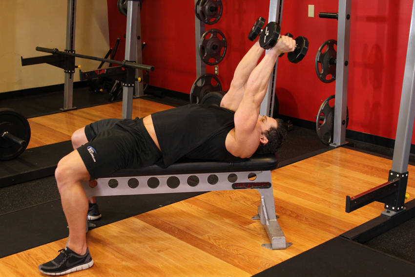 Lying Dumbbell Tricep Extension - ending position