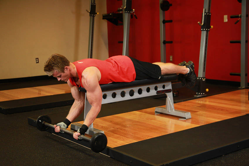 Lying High Bench Barbell Curl - starting position