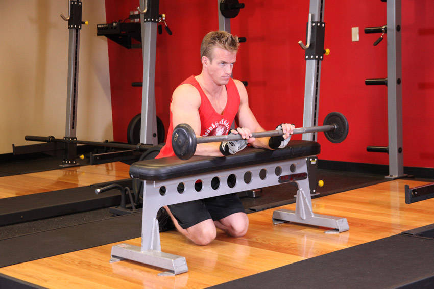 Palms-Down Wrist Curl Over A Bench - ending position