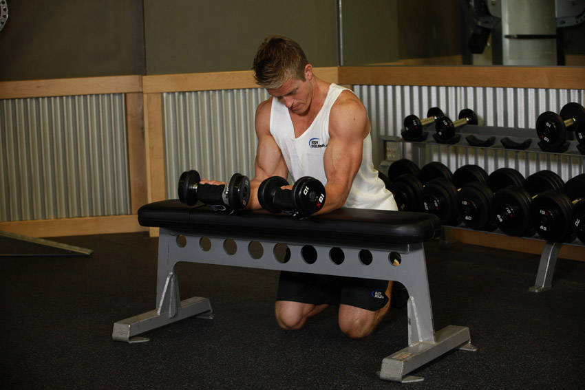 Palms-Up Dumbbell Wrist Curl Over A Bench - ending position