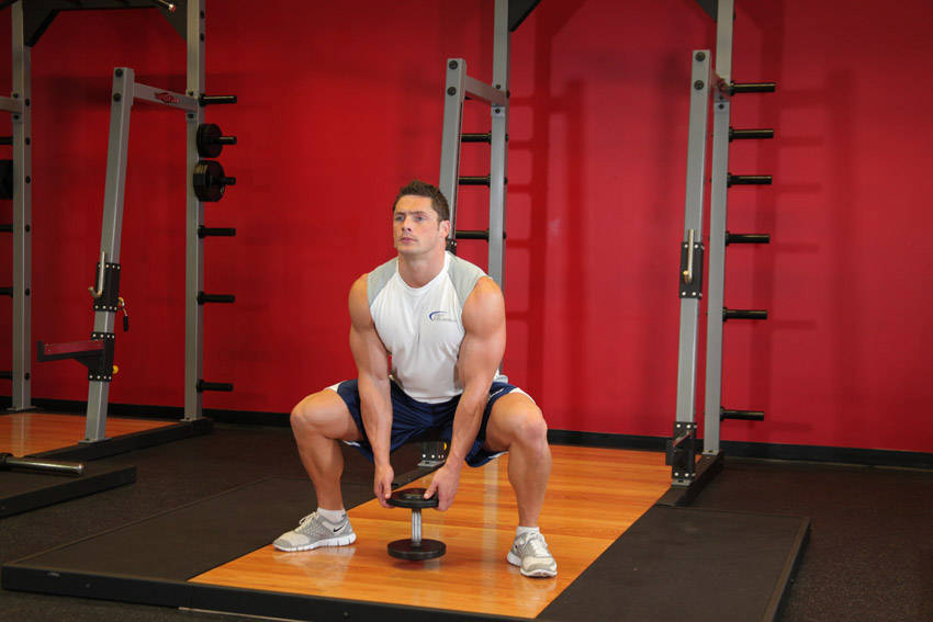 Plie Dumbbell Squat - ending position