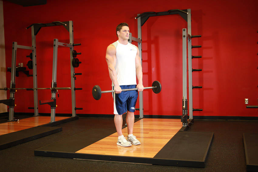 Reverse Barbell Curl - starting position