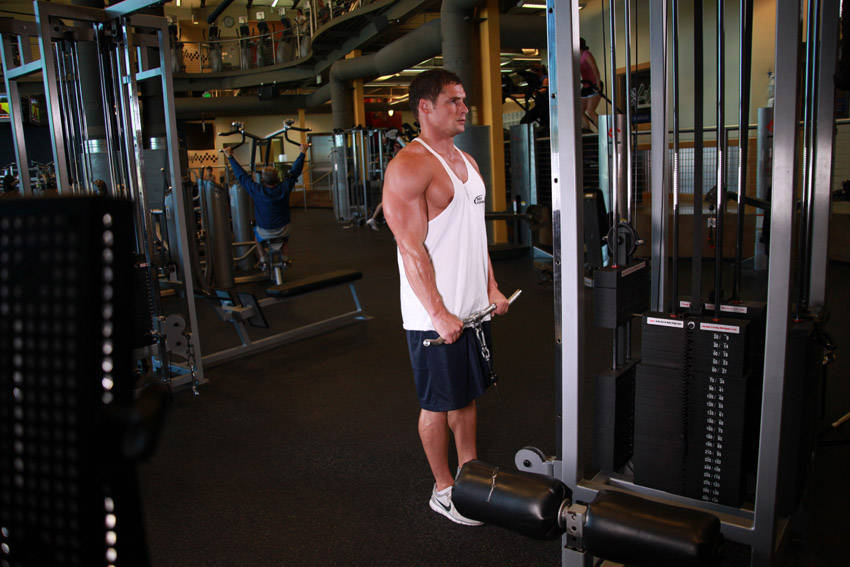 Reverse Cable Curl - ending position