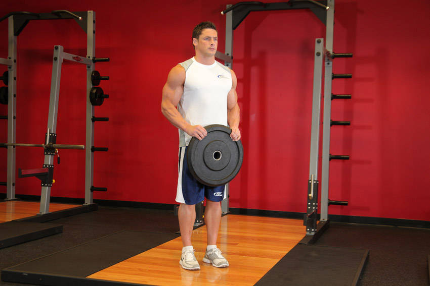 Reverse Plate Curls - starting position