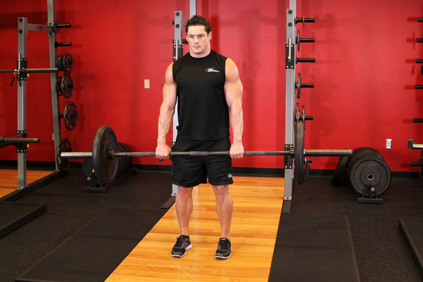 Romanian Deadlift - ending position