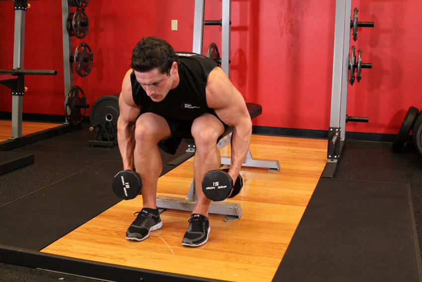 Seated Bent-Over Rear Delt Raise - starting position
