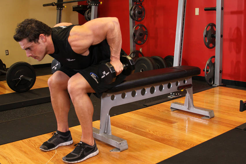 Seated Bent-Over Two-Arm Dumbbell Triceps Extension - starting position