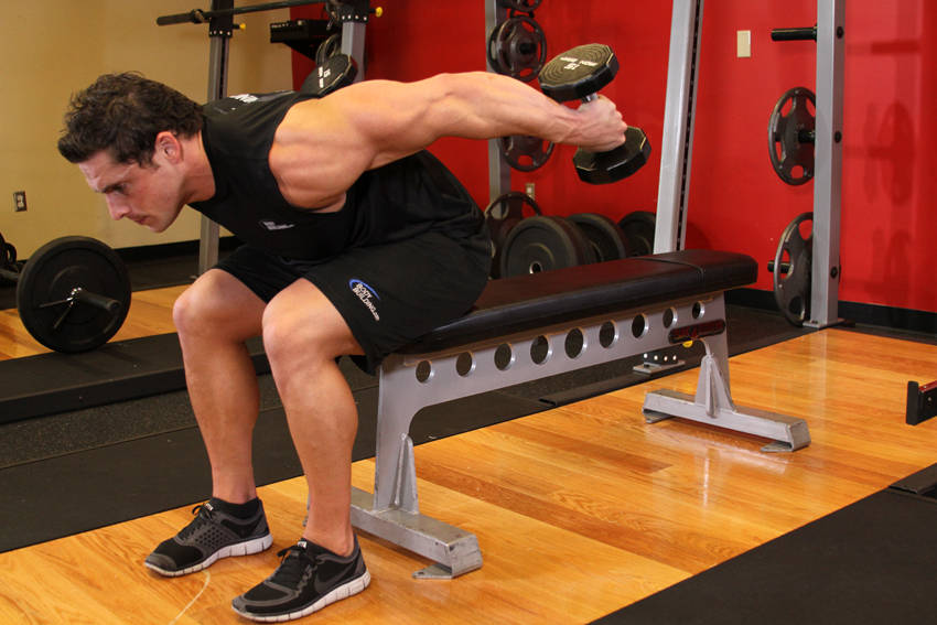 Seated Bent-Over Two-Arm Dumbbell Triceps Extension - ending position