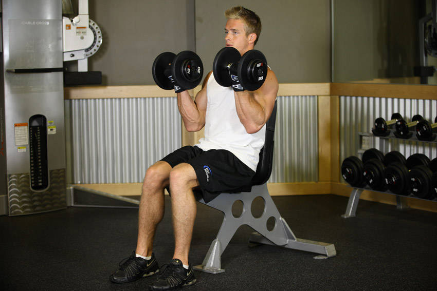 Seated Dumbbell Curl - ending position