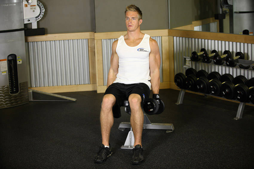 Seated Dumbbell Inner Biceps Curl - starting position