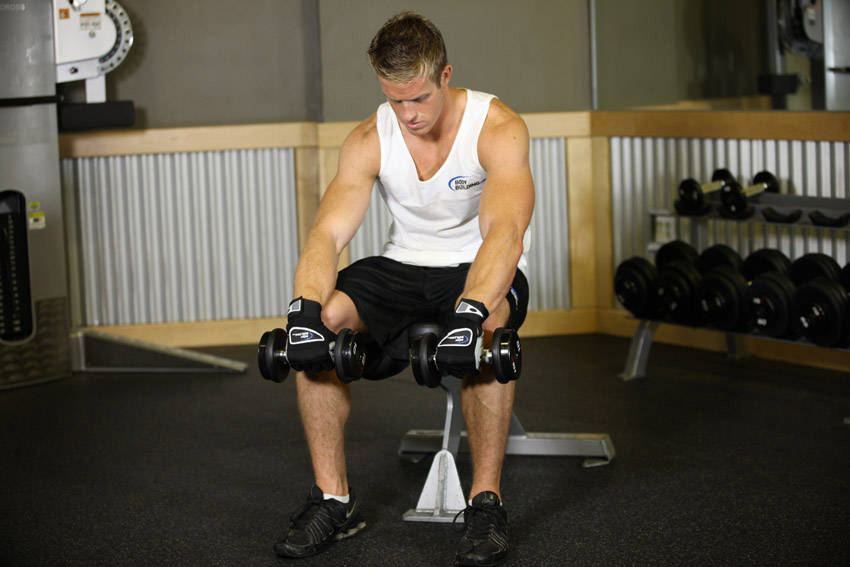 Seated Dumbbell Palms-Down Wrist Curl - starting position