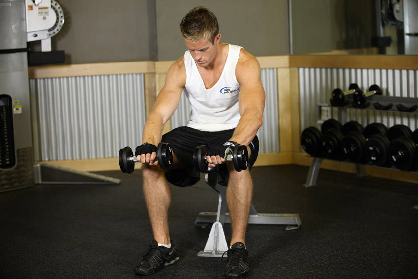 Seated Dumbbell Palms-Down Wrist Curl - ending position