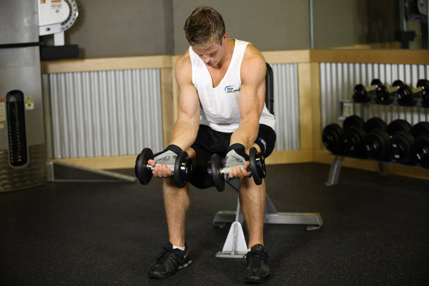 Seated Dumbbell Palms-Up Wrist Curl - starting position