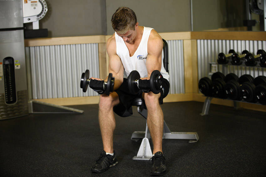 Seated Dumbbell Palms-Up Wrist Curl - ending position