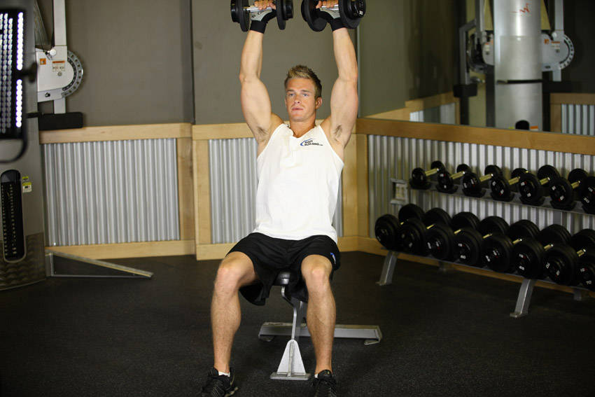 Seated Dumbbell Press - starting position
