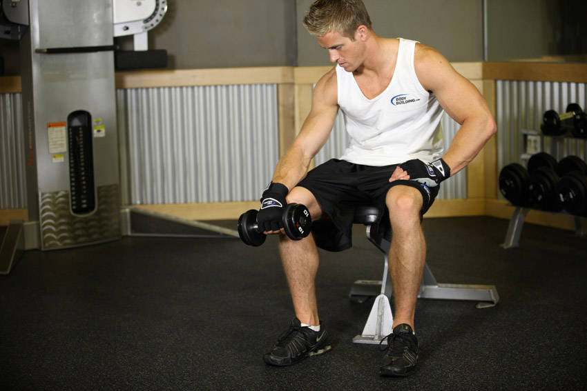 Seated One-Arm Dumbbell Palms-Down Wrist Curl - starting position