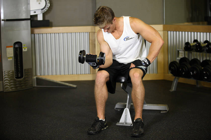 Seated One-Arm Dumbbell Palms-Up Wrist Curl - ending position