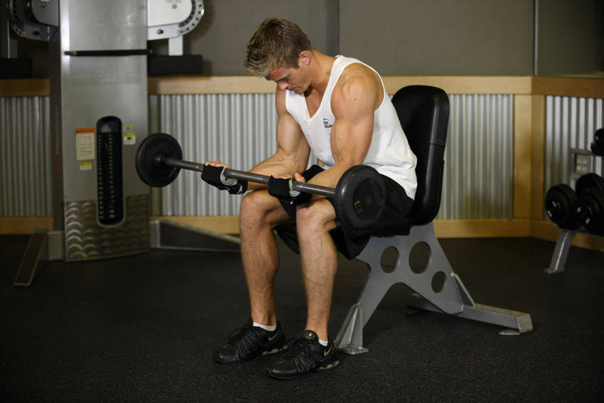 Seated Palm-Up Barbell Wrist Curl - ending position