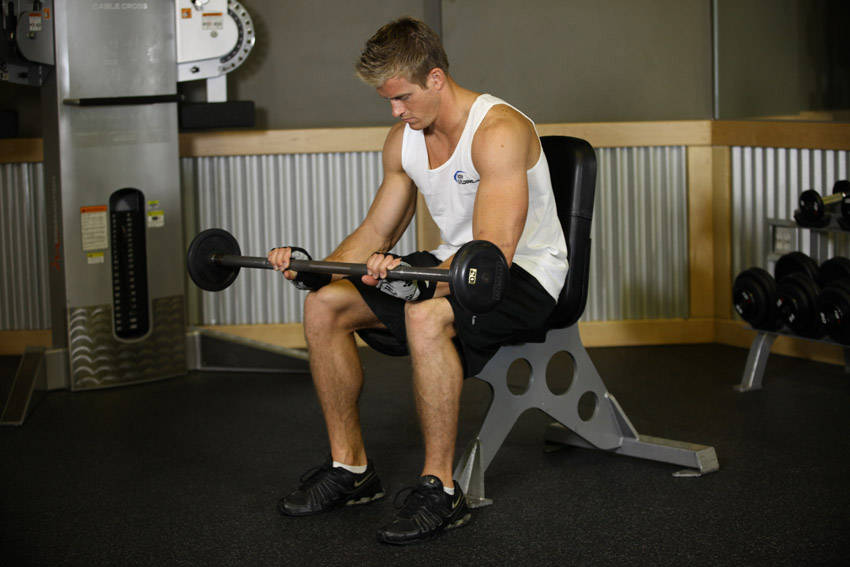 Seated Palms-Down Barbell Wrist Curl - ending position