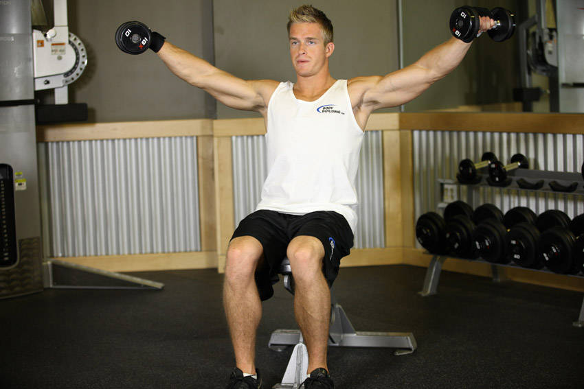 Seated Side Lateral Raise - ending position
