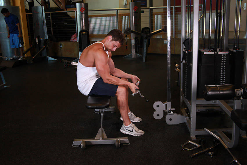 Seated Two-Arm Palms-Up Low-Pulley Wrist Curl - starting position