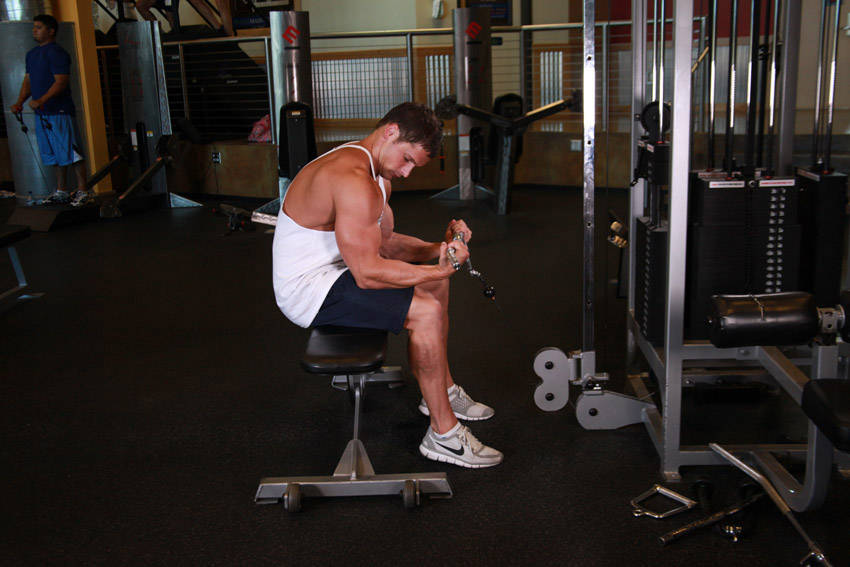 Seated Two-Arm Palms-Up Low-Pulley Wrist Curl - ending position