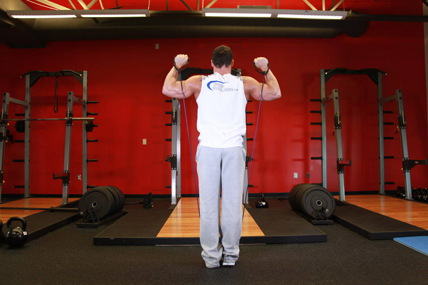 Shoulder Press - With Bands - starting position