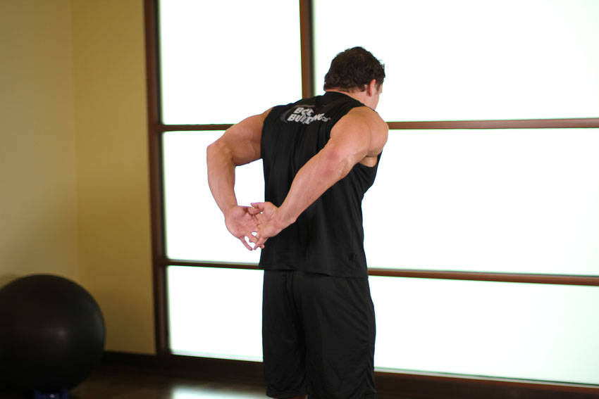 Standing Biceps Stretch - ending position