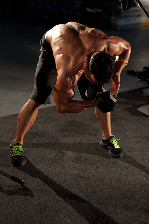 Standing Concentration Curl - ending position