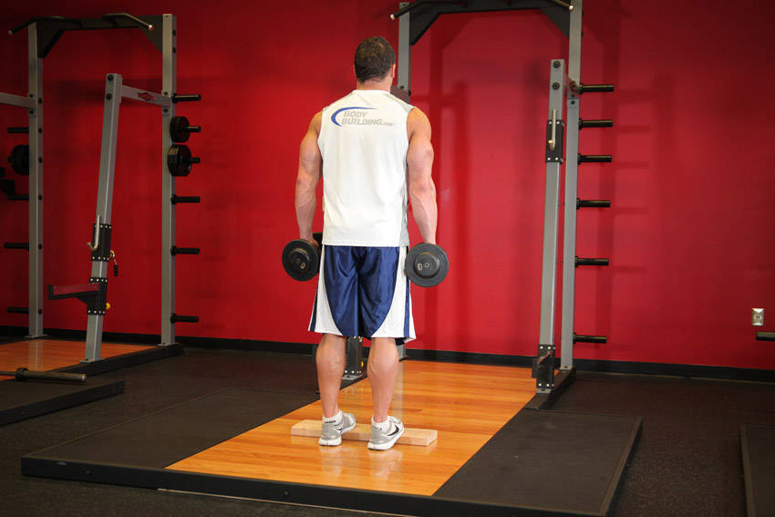 Standing Dumbbell Calf Raise - starting position