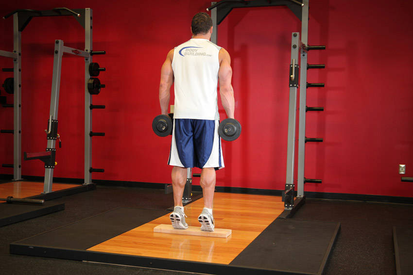 Standing Dumbbell Calf Raise - ending position