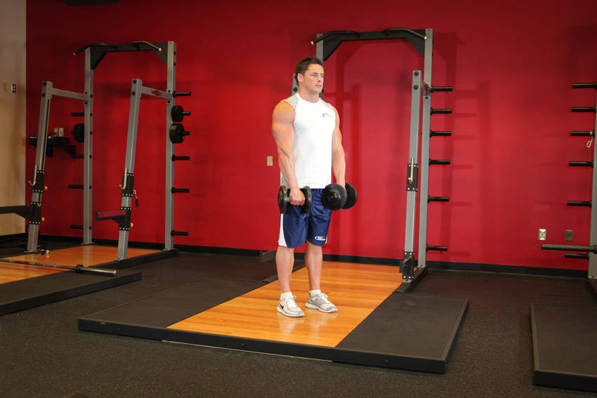 Standing Dumbbell Reverse Curl - starting position