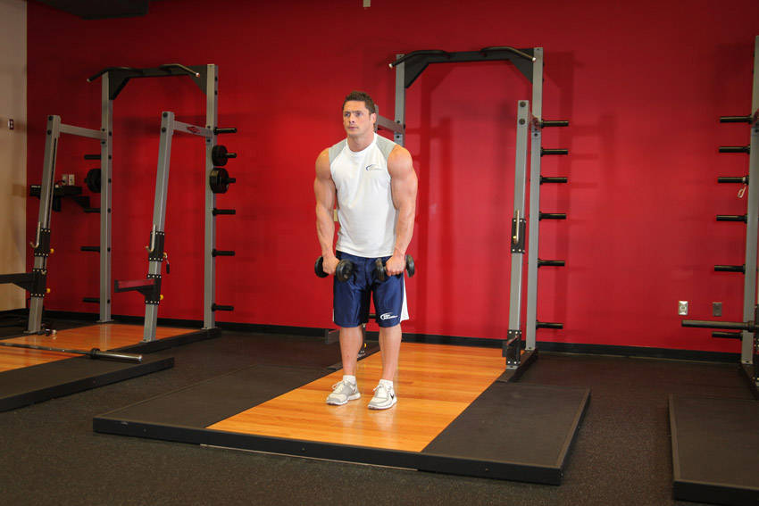 Standing Dumbbell Straight-Arm Front Delt Raise Above Head - starting position