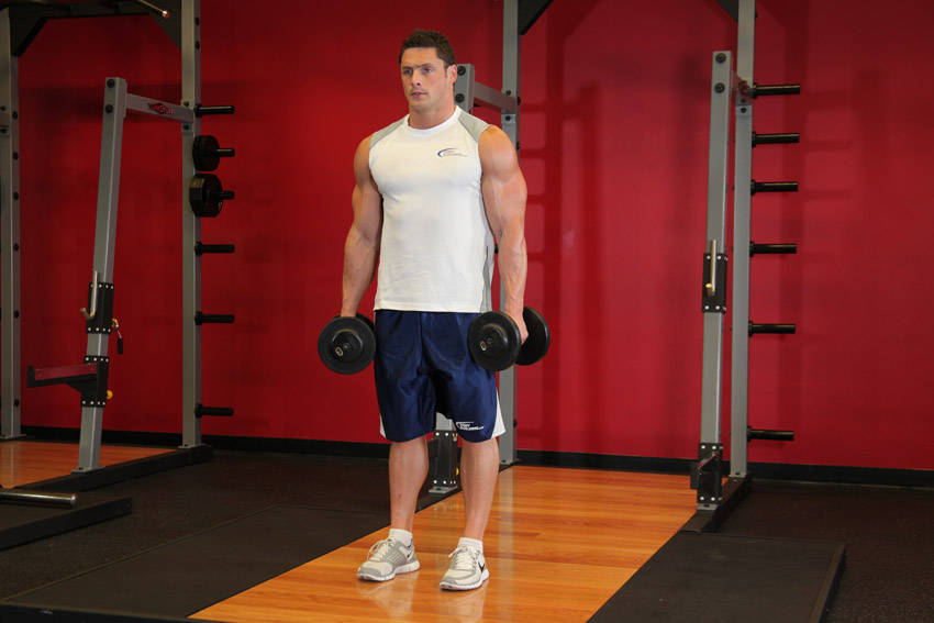 Standing Inner-Biceps Curl - starting position