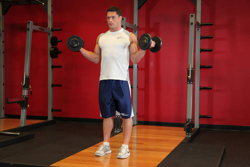 Standing Inner-Biceps Curl - ending position