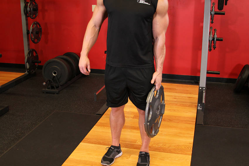 Standing Olympic Plate Hand Squeeze - starting position