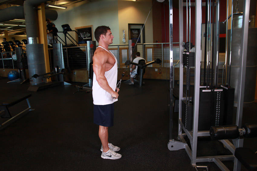 Straight-Arm Pulldown - ending position