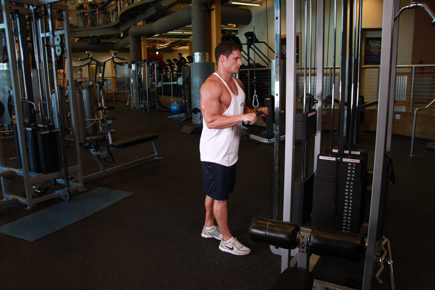 Triceps Pushdown - starting position