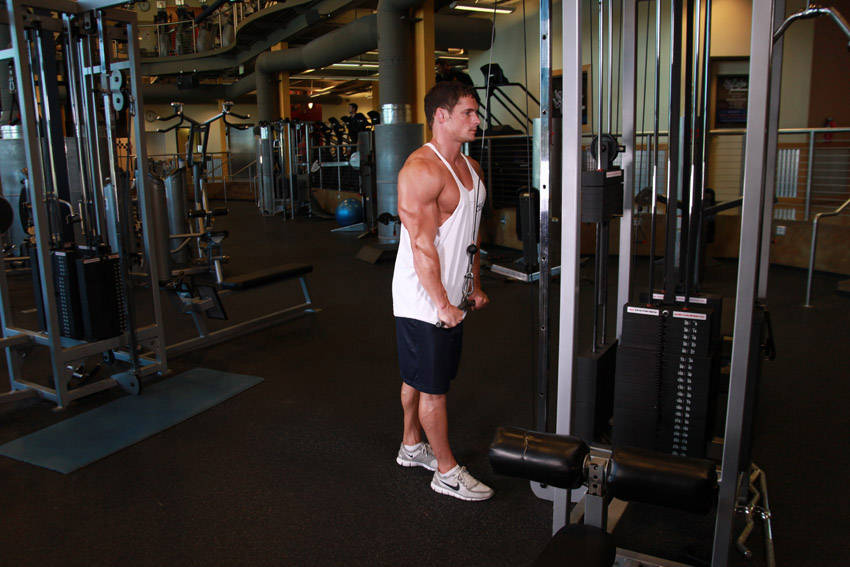 Triceps Pushdown - ending position