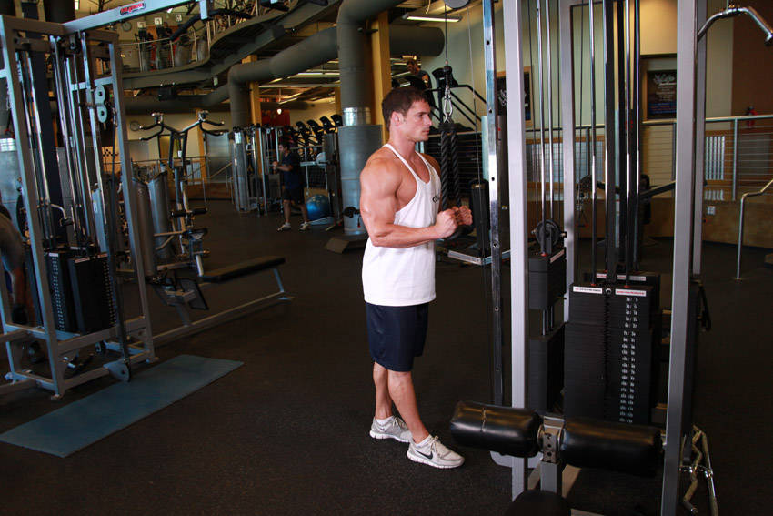 Triceps Pushdown - Rope Attachment - starting position