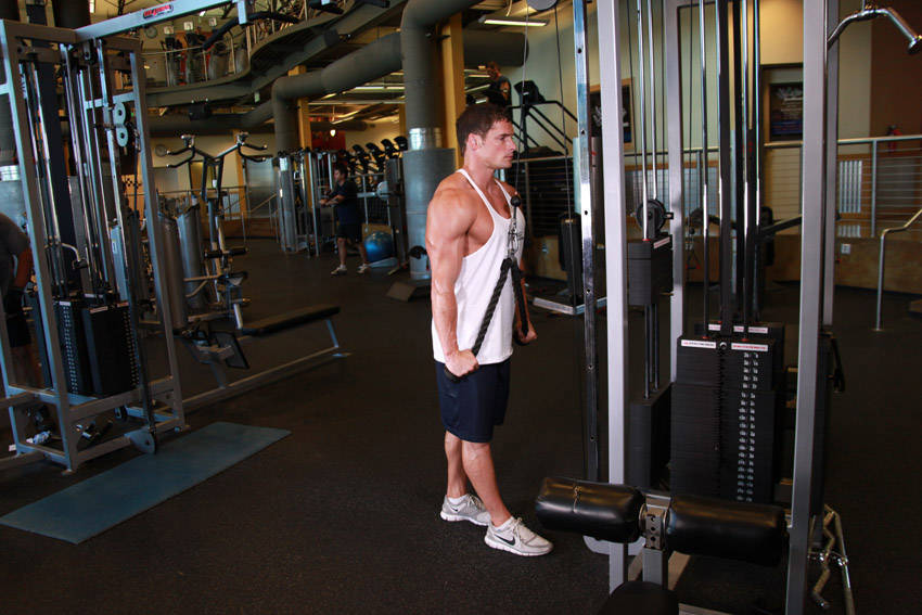 Triceps Pushdown - Rope Attachment - ending position