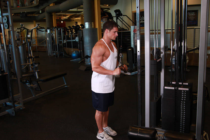 Triceps Pushdown - V-Bar Attachment - starting position