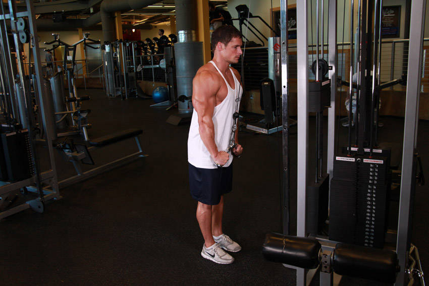 Triceps Pushdown - V-Bar Attachment - ending position