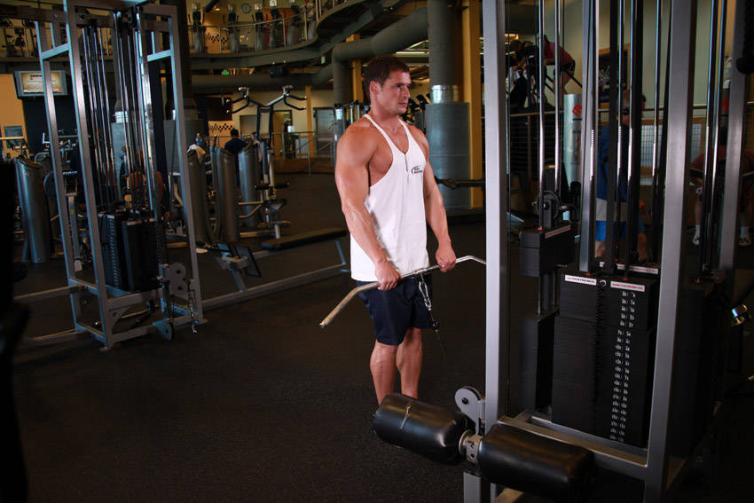 Upright Cable Row - ending position