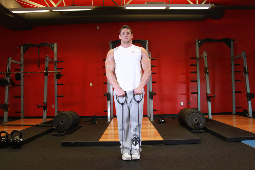 Upright Row - With Bands - starting position