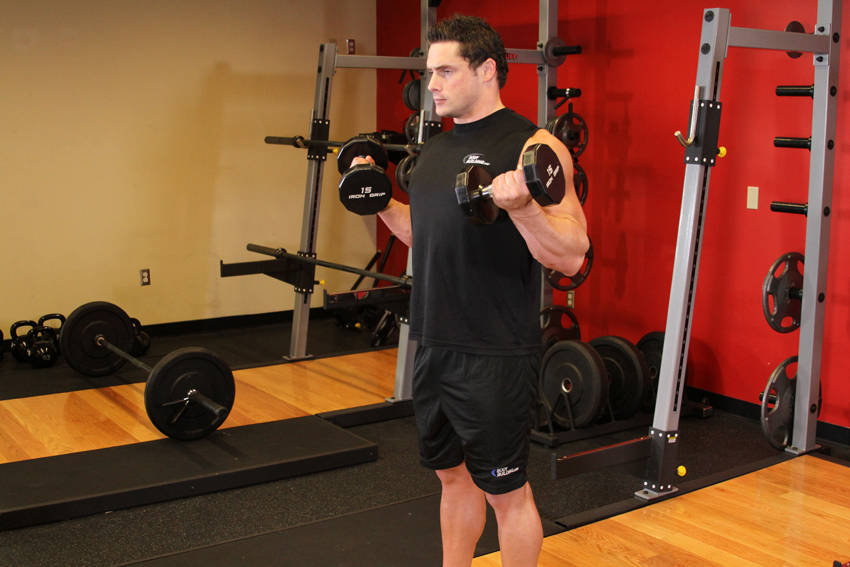 Zottman Curl - ending position